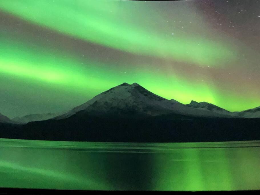 Northern Light Tromsø Eksteriør billede